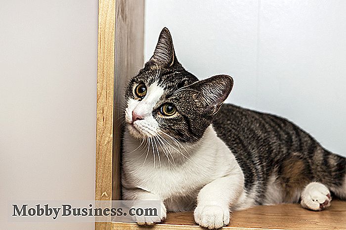 Achter het businessplan: Meow Parlor