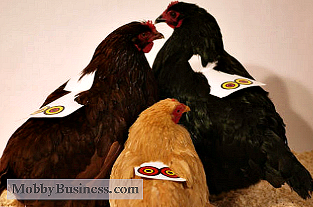 Istantanea di piccole imprese: armatura di pollo