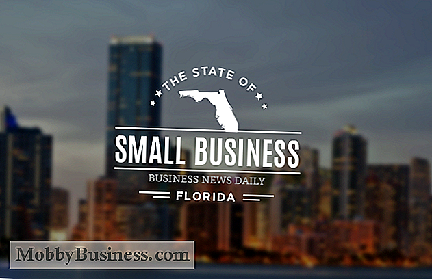 Småföretaget: Florida