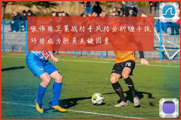 张伟丽卫冕战对手风格分析缠斗技巧将成为胜负关键因素