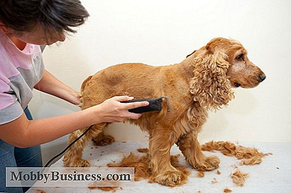 Cómo iniciar un negocio de cuidado de mascotas