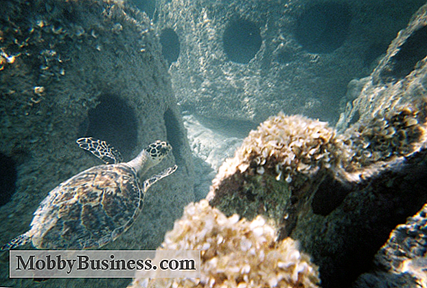 Small Business Snapshot: Věčné útesy
