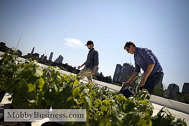 Small Business Snapshot: Rooftop Reds